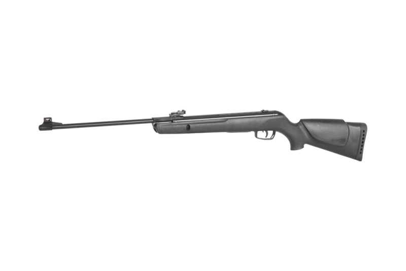 Black Bear IGT